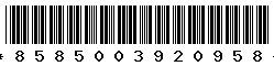 8585003920958