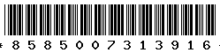 8585007313916