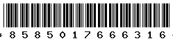 8585017666316 8585017666316