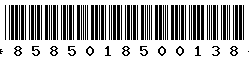 8585018500138