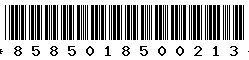 8585018500213