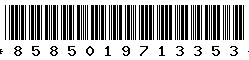 8585019713353