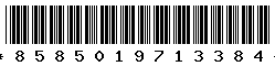 8585019713384