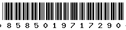 8585019717290