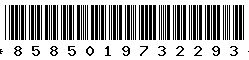 8585019732293 8585019732293