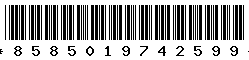 8585019742599