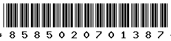 8585020701387