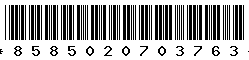 8585020703763