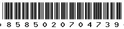 8585020704739