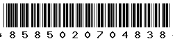 8585020704838