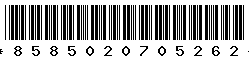 8585020705262