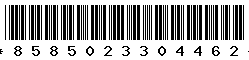 8585023304462