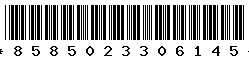 8585023306145
