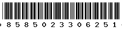 8585023306251