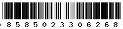 8585023306268