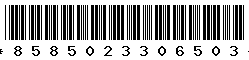 8585023306503