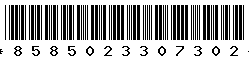 8585023307302
