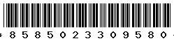 8585023309580