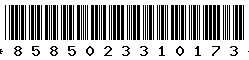 8585023310173
