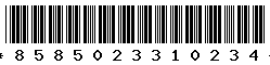 8585023310234