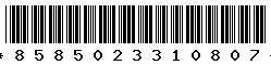8585023310807