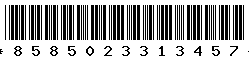 8585023313457