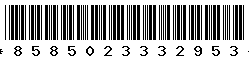 8585023332953