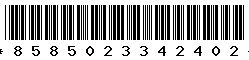 8585023342402