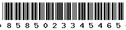 8585023345465
