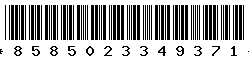 8585023349371