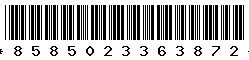 8585023363872