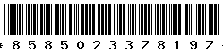 8585023378197
