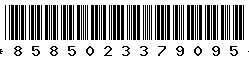 8585023379095