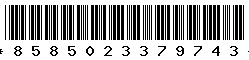 8585023379743