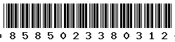8585023380312