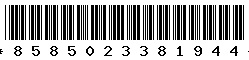 8585023381944