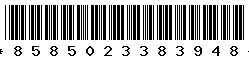8585023383948