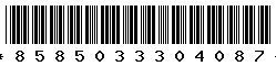 8585033304087