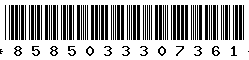 8585033307361