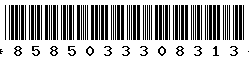 8585033308313