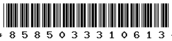 8585033310613