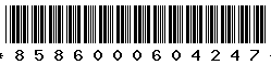 8586000604247