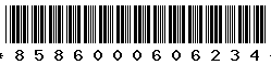 8586000606234