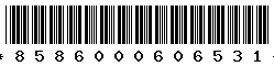 8586000606531