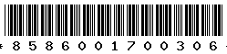 8586001700306