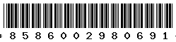 8586002980691