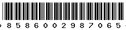 8586002987065