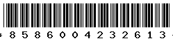 8586004232613
