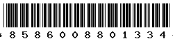 8586008801334
