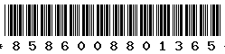 8586008801365